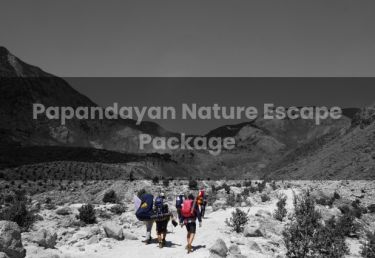 Papandayan Nature Escape